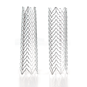 ACCULINK™ Carotid Stent System
