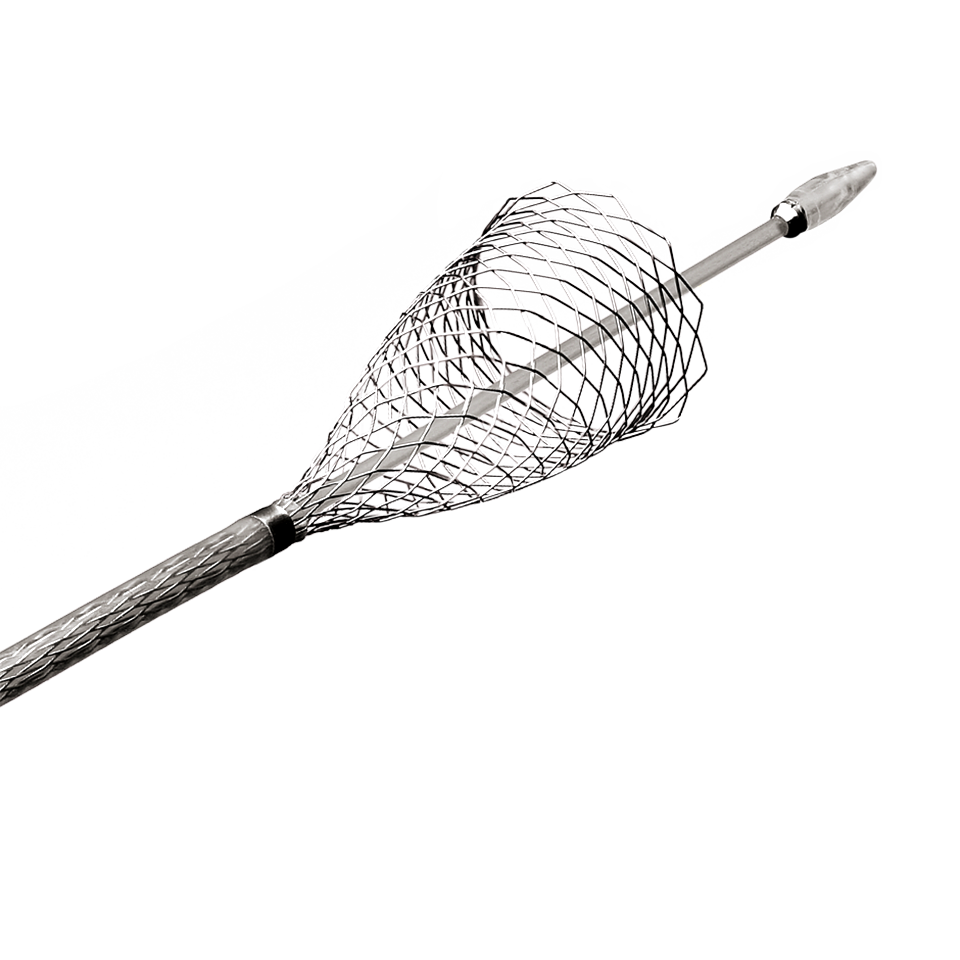 Carotid WALLSTENT Monorail Endoprosthesis