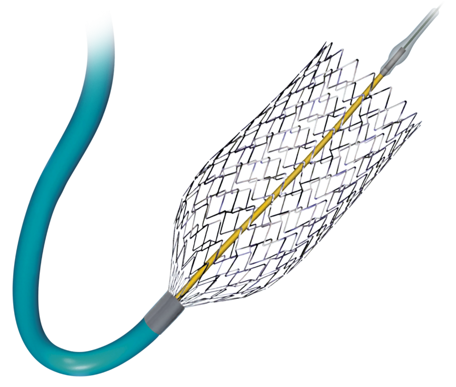 Cordis PRECISE Nitinol Stent System