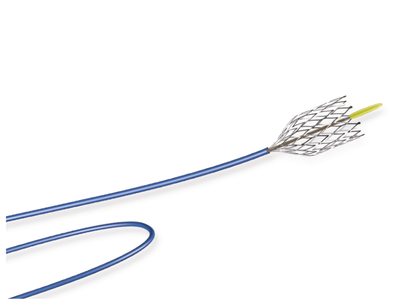 Exponent Self-Expanding Carotid Stent with Over-the-Wire (OTW) Delivery System