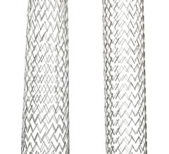 NexStent® Carotid Stent and Delivery System