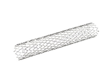 PROTÉGÉ Carotid Stent System