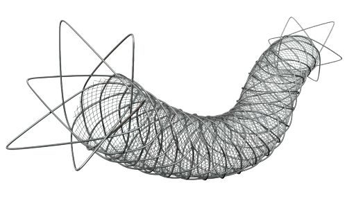Roadsaver™ Carotid Stent System